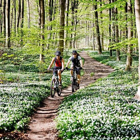 Vakantiehuis In Een Prachtige Bosrijke Omgeving In Twente! Bornerbroek Екстериор снимка