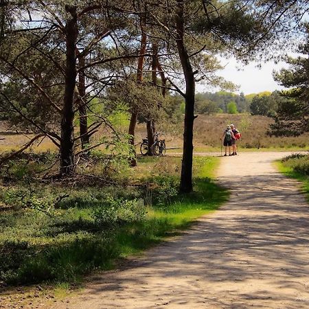 Vakantiehuis In Een Prachtige Bosrijke Omgeving In Twente! Bornerbroek Екстериор снимка