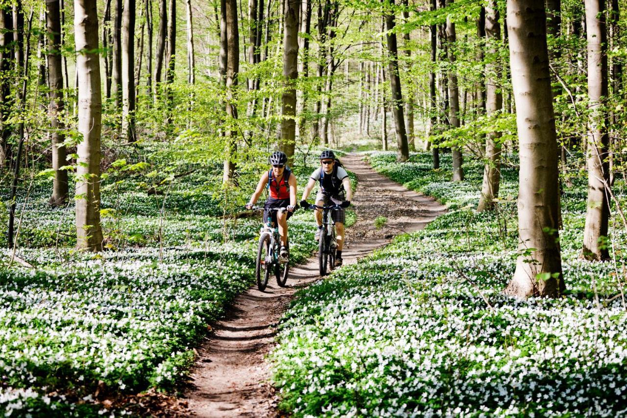 Vakantiehuis In Een Prachtige Bosrijke Omgeving In Twente! Bornerbroek Екстериор снимка