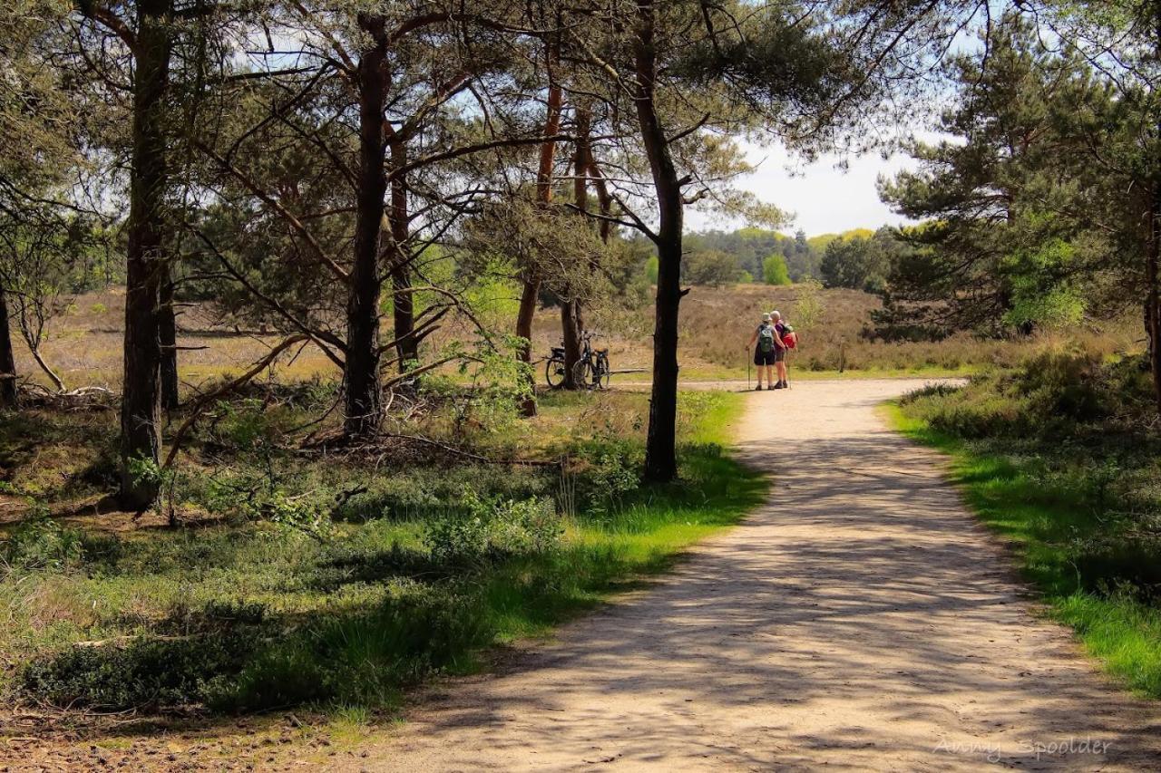 Vakantiehuis In Een Prachtige Bosrijke Omgeving In Twente! Bornerbroek Екстериор снимка